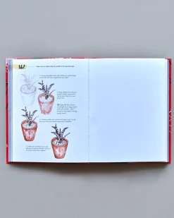 Søstrene Grene Schweiz Coffee Table Books<365 Days Of Drawing