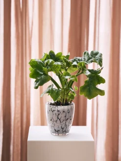 Søstrene Grene Schweiz Vasen Und Blumentöpfe<Übertopf