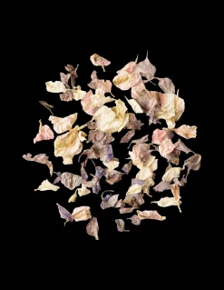 Søstrene Grene Schweiz Partydeko|Tischdecken<Biologisch Abbaubares Blumenkonfetti