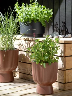 Søstrene Grene Schweiz Vasen Und Blumentöpfe<Blumentopf Milly Ø23,9 Cm