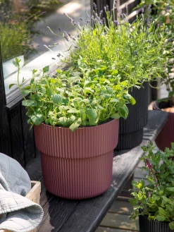 Søstrene Grene Schweiz Vasen Und Blumentöpfe<Blumentopf Milly Ø29,9 Cm