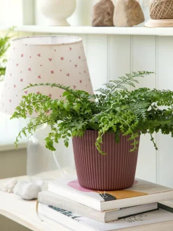 Søstrene Grene Schweiz Vasen Und Blumentöpfe<Blumentopf Milly Ø16,9 Cm