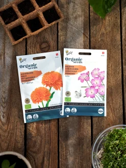 Søstrene Grene Schweiz Garten|Garten Und Balkon<Buzzy® Bio-Ringelblume Ball‘s Orange