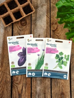 Søstrene Grene Schweiz Garten|Garten Und Balkon<Buzzy® Bio-Schnittlauch Prager