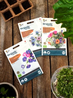 Søstrene Grene Schweiz Garten|Garten Und Balkon<Buzzy® Bio-Trichterwinde-Mix