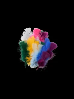 Søstrene Grene Schweiz Dekoration<Federn