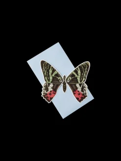 Søstrene Grene Schweiz Karten|Karten<Karte Mit Umschlag