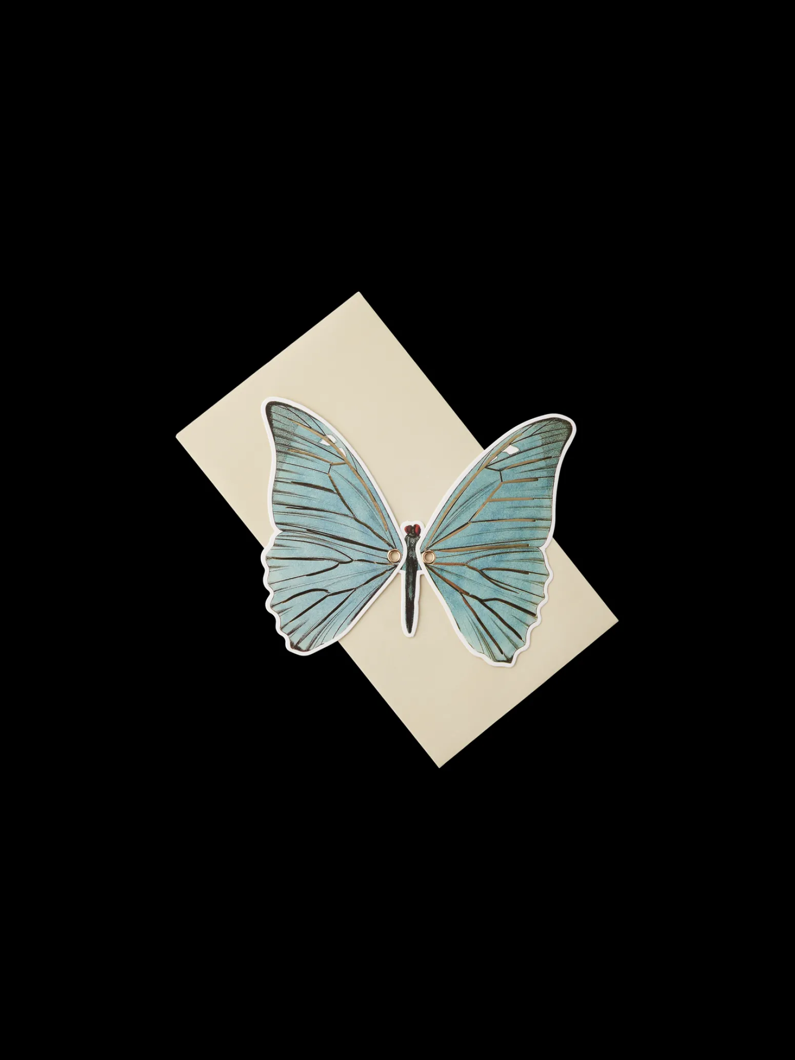 Søstrene Grene Schweiz Karten|Karten<Karte Mit Umschlag