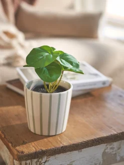 Søstrene Grene Schweiz Dekoration<Künstliche Blume Im Topf