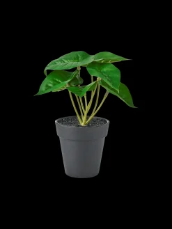 Søstrene Grene Schweiz Dekoration<Künstliche Blume Im Topf