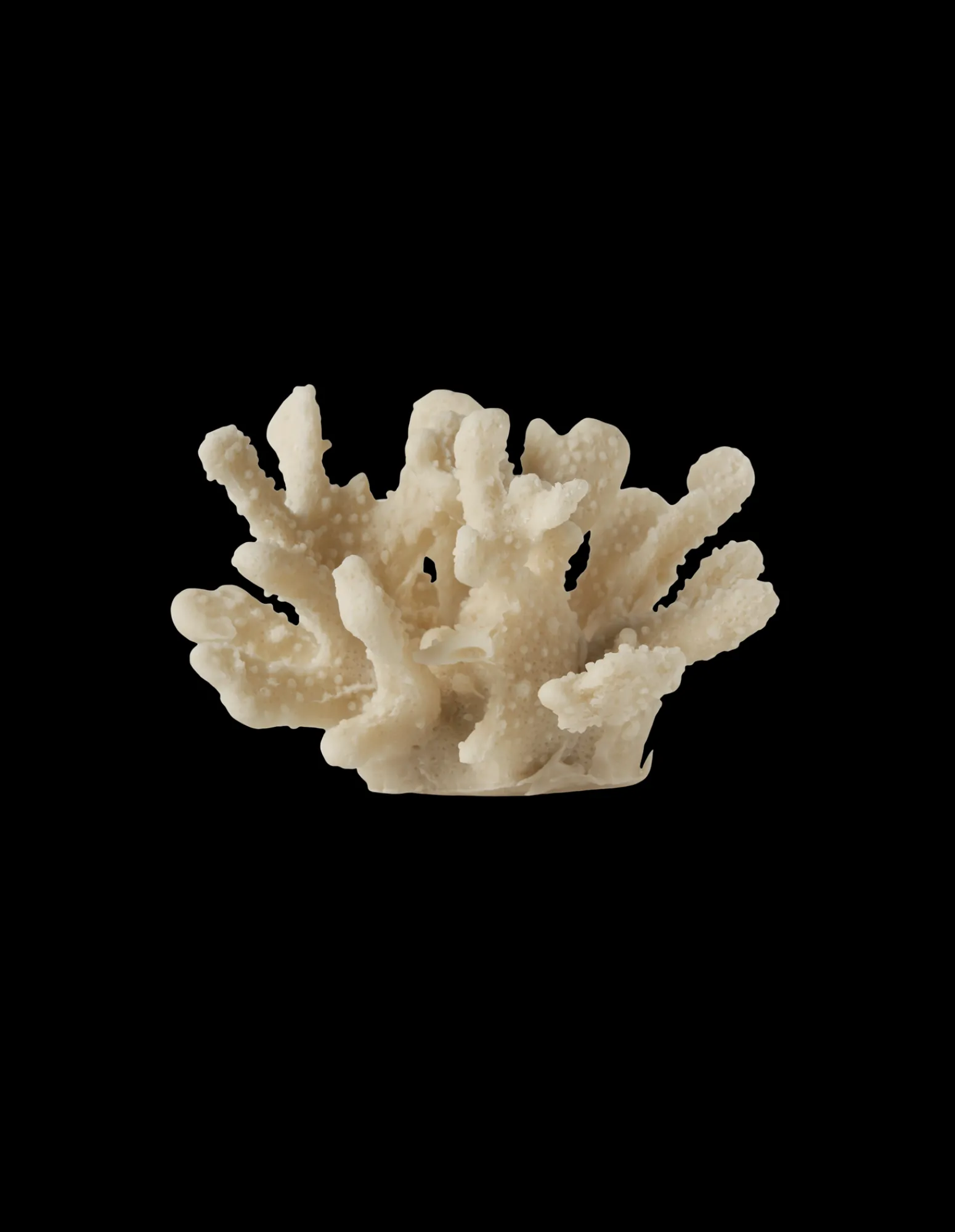 Søstrene Grene Schweiz Dekoration<Künstliche Koralle