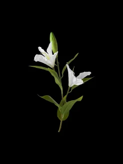 Søstrene Grene Schweiz Dekoration<Künstliche Lilie