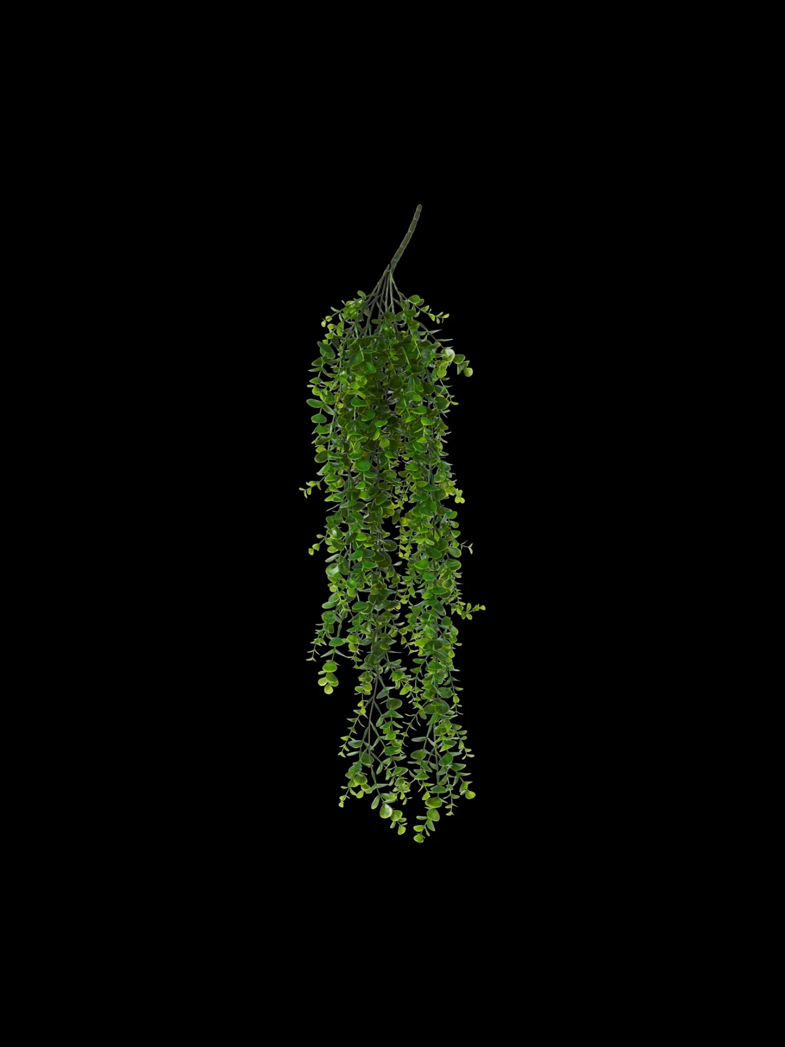 Søstrene Grene Schweiz Dekoration<Künstlicher Eukalyptus