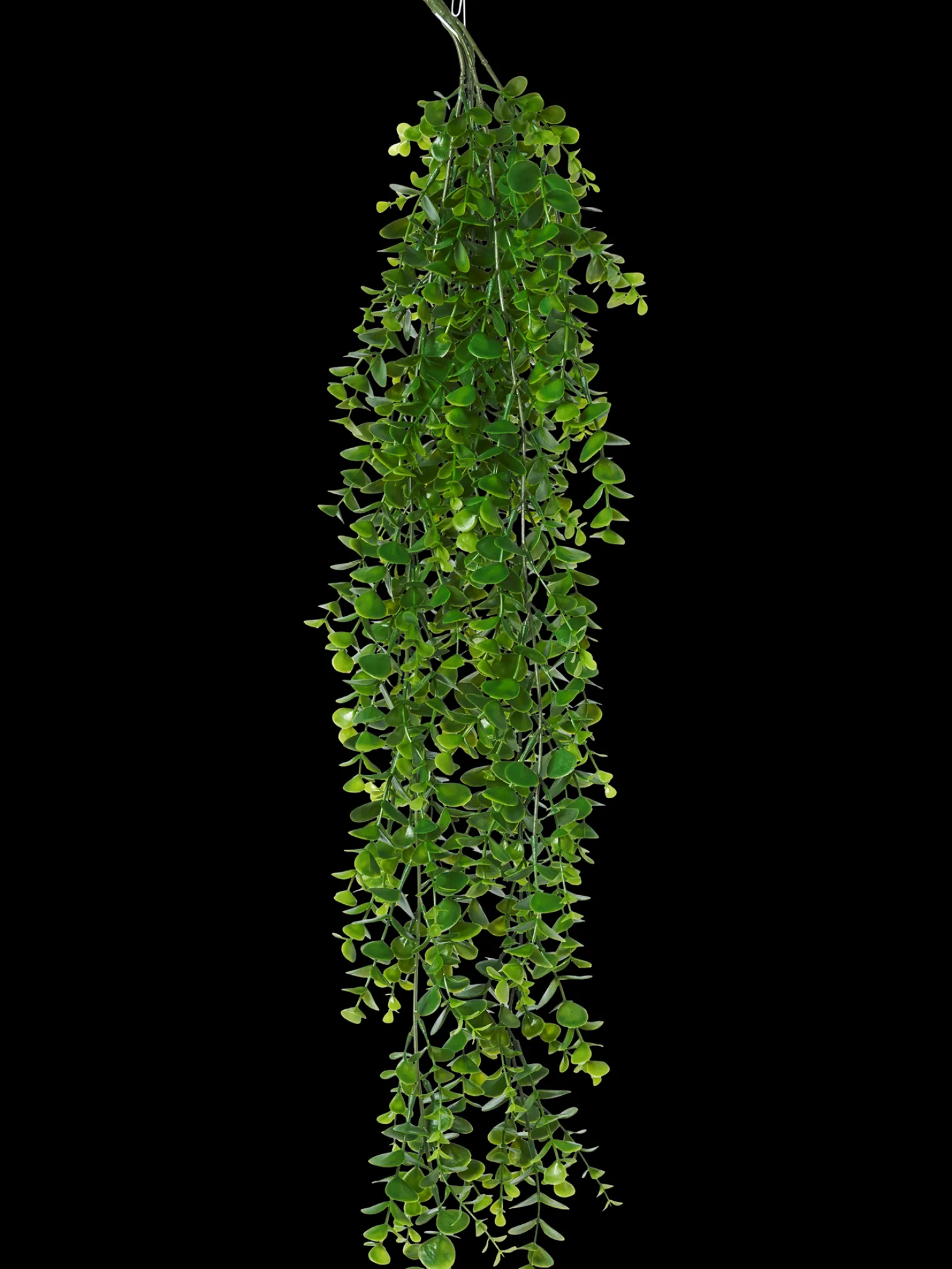 Søstrene Grene Schweiz Dekoration<Künstlicher Eukalyptus