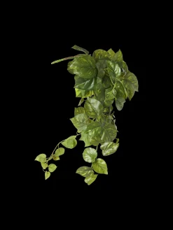 Søstrene Grene Schweiz Dekoration<Künstlicher Pothos