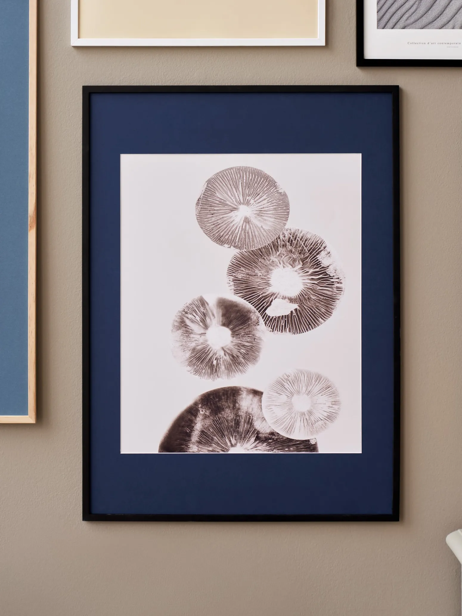 Søstrene Grene Schweiz Rahmen Und Poster<Passepartout Blue - 50 X 70/40 X 50