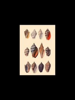 Søstrene Grene Schweiz Rahmen Und Poster<Poster 15 X 21