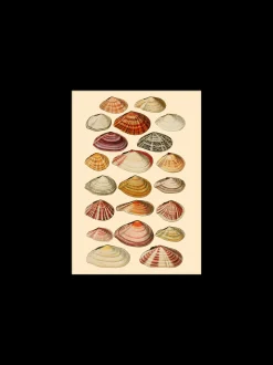 Søstrene Grene Schweiz Rahmen Und Poster<Poster 15 X 21