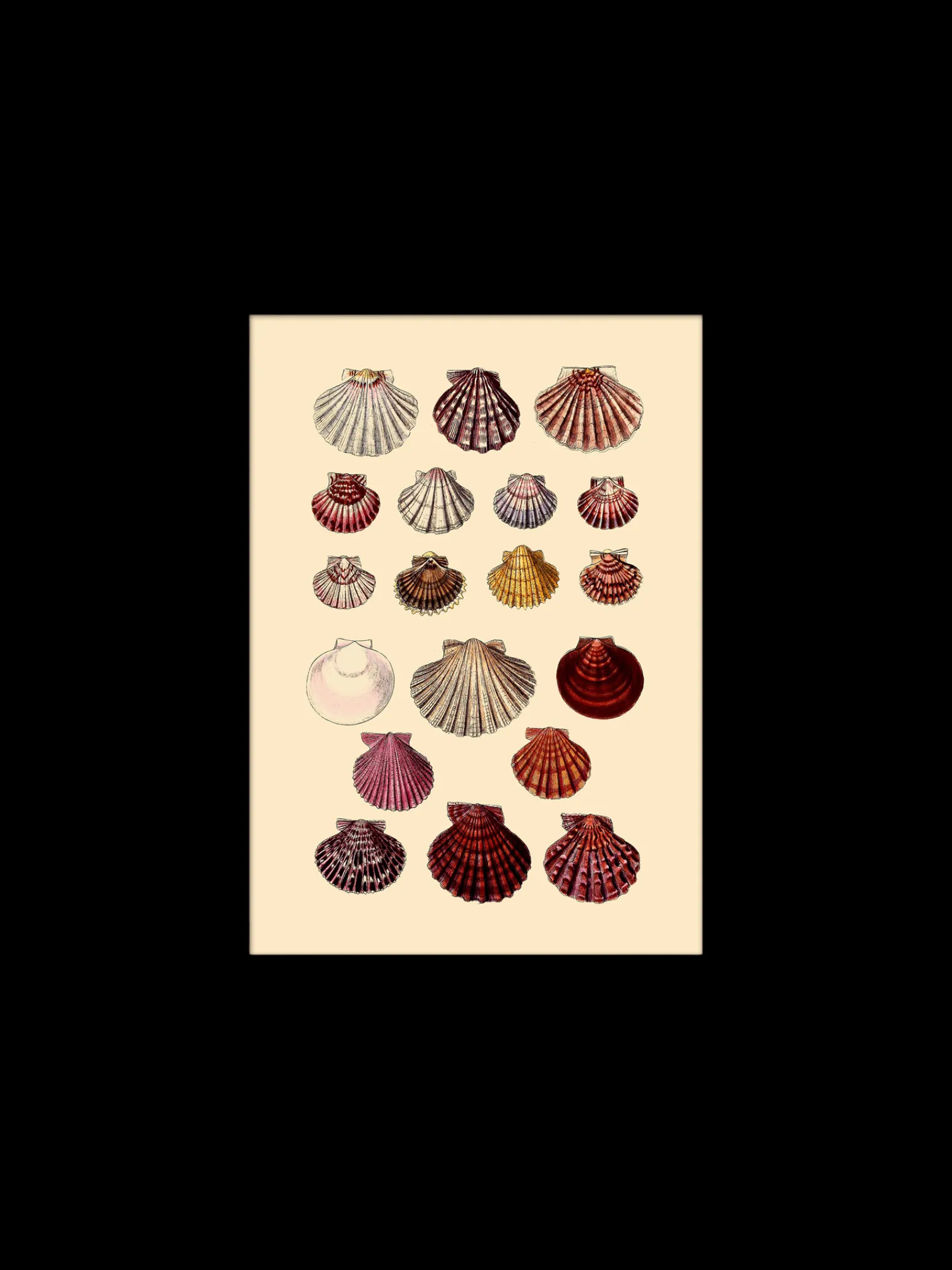 Søstrene Grene Schweiz Rahmen Und Poster<Poster 15 X 21