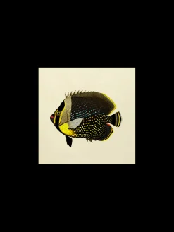 Søstrene Grene Schweiz Rahmen Und Poster<Poster 24 X 24