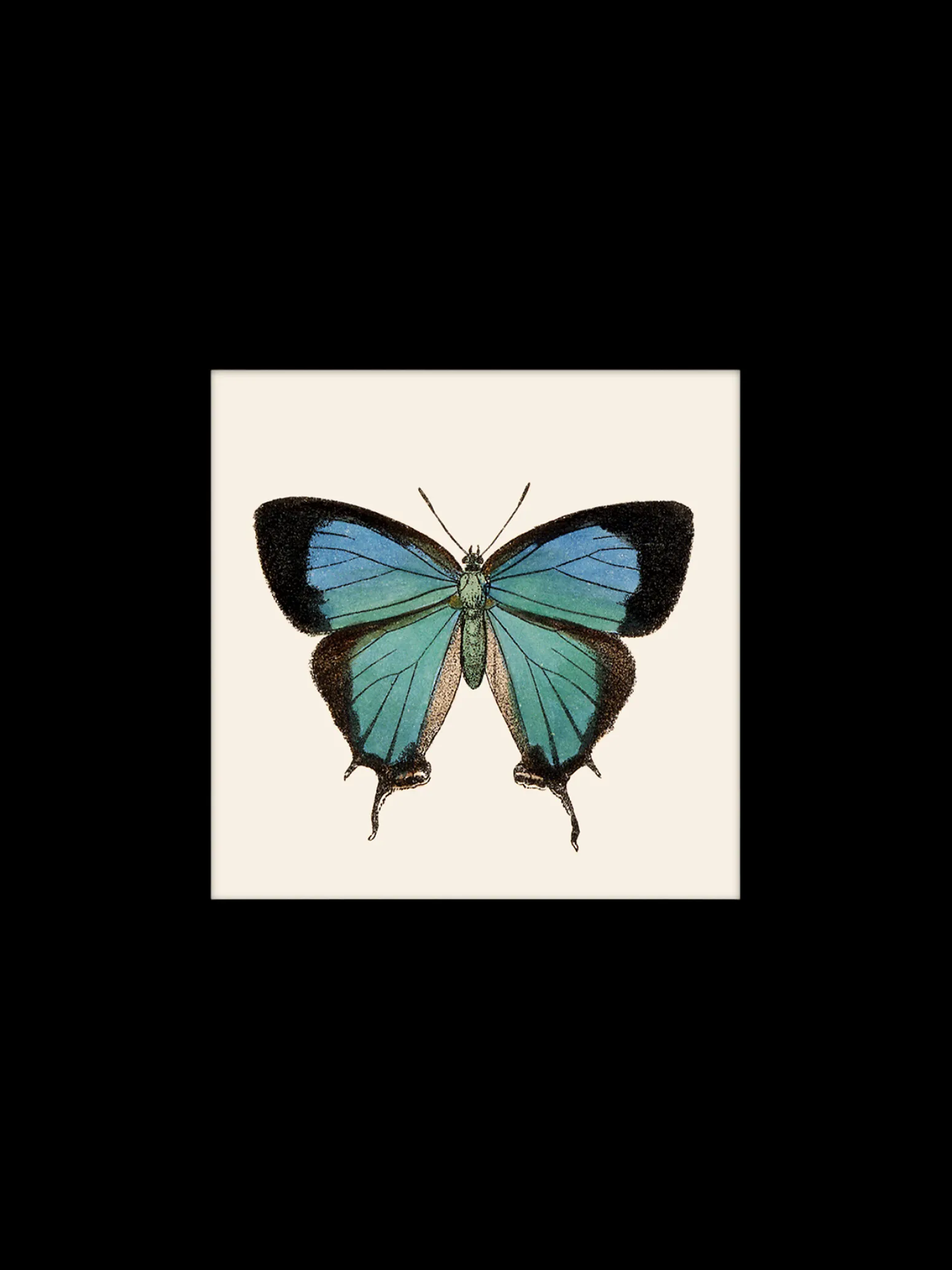 Søstrene Grene Schweiz Rahmen Und Poster<Poster 24 X 24