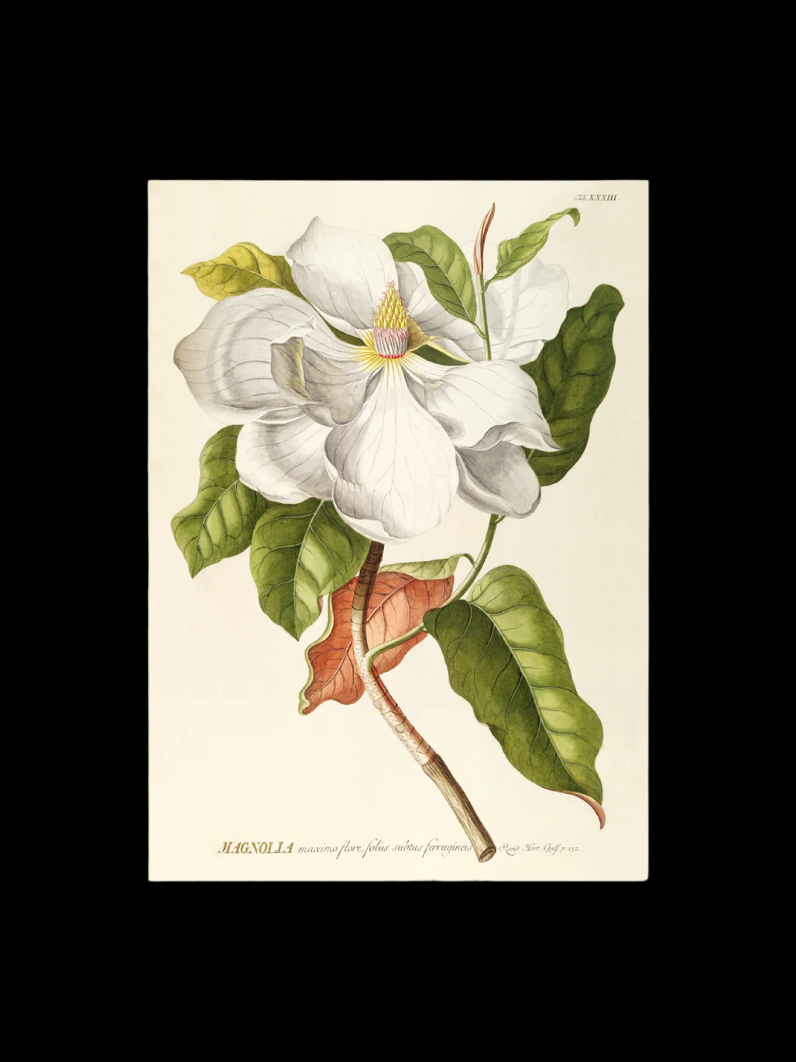 Søstrene Grene Schweiz Rahmen Und Poster<Poster 50 X 70