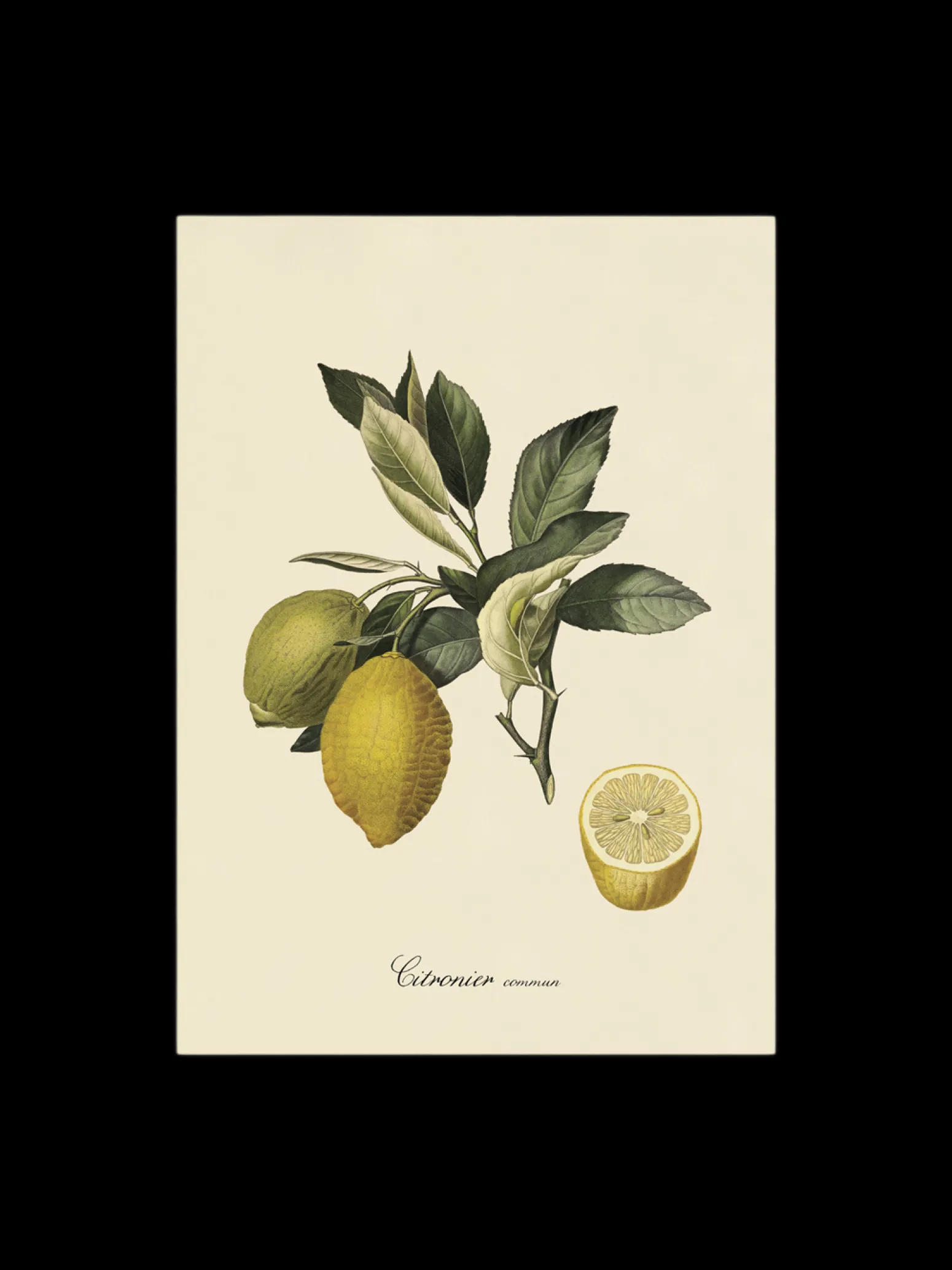 Søstrene Grene Schweiz Rahmen Und Poster<Poster 50 X 70