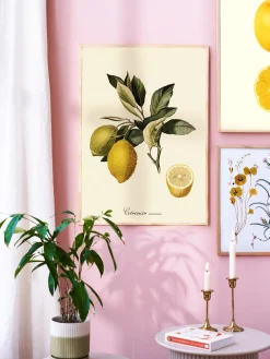 Søstrene Grene Schweiz Rahmen Und Poster<Poster 50 X 70