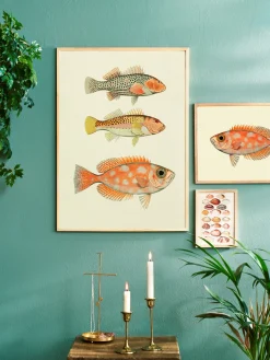 Søstrene Grene Schweiz Rahmen Und Poster<Poster 50 X 70