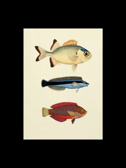 Søstrene Grene Schweiz Rahmen Und Poster<Poster 50 X 70