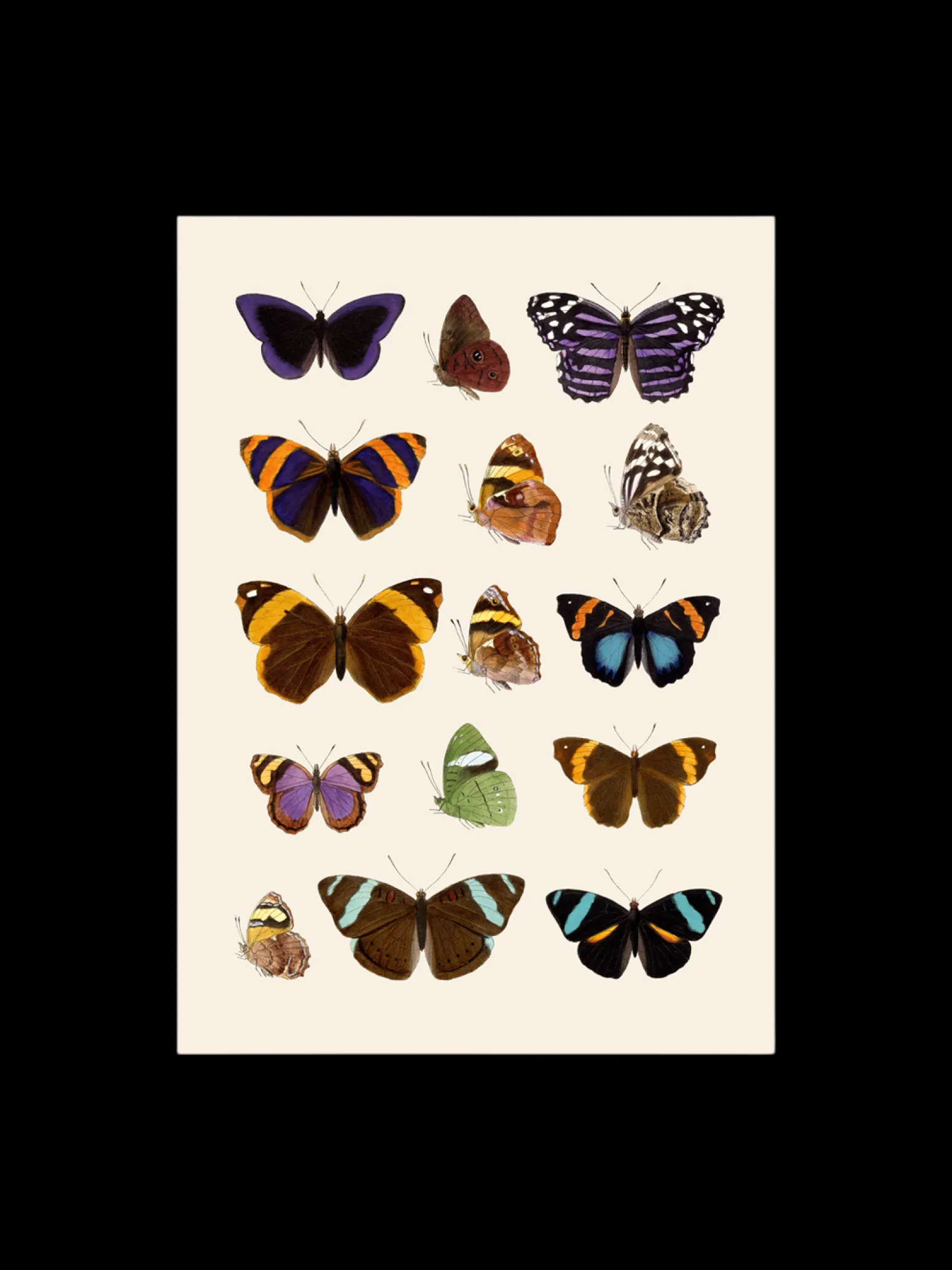 Søstrene Grene Schweiz Rahmen Und Poster<Poster 50 X 70