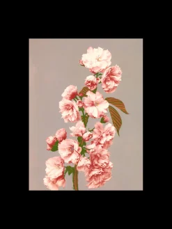 Søstrene Grene Schweiz Rahmen Und Poster<Poster 50 X 70