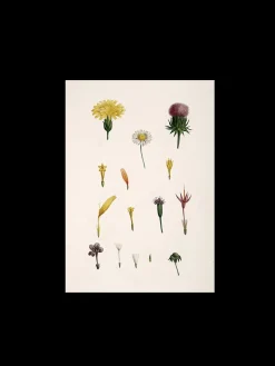 Søstrene Grene Schweiz Rahmen Und Poster<Poster A3