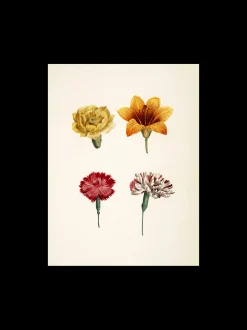 Søstrene Grene Schweiz Rahmen Und Poster<Poster A3