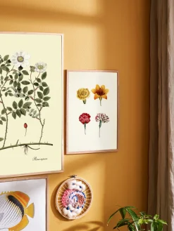 Søstrene Grene Schweiz Rahmen Und Poster<Poster A3