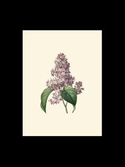 Søstrene Grene Schweiz Rahmen Und Poster<Poster A3