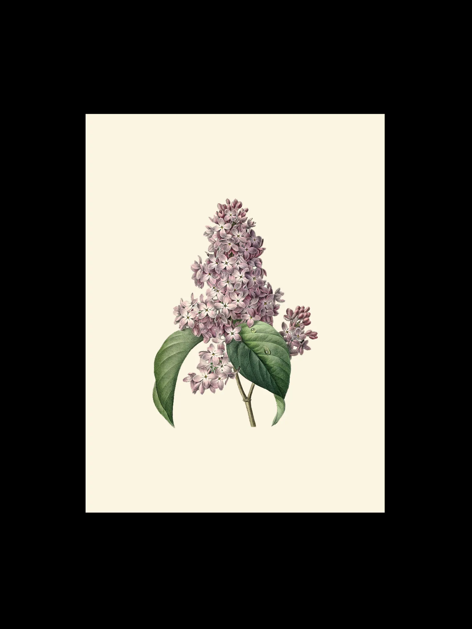 Søstrene Grene Schweiz Rahmen Und Poster<Poster A3