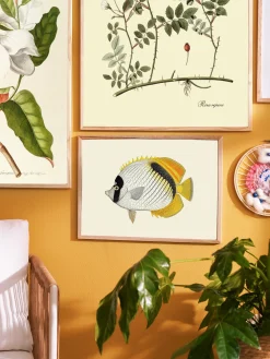 Søstrene Grene Schweiz Rahmen Und Poster<Poster A3