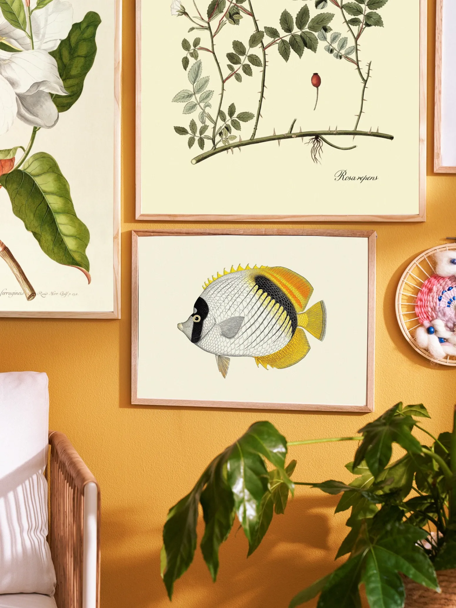 Søstrene Grene Schweiz Rahmen Und Poster<Poster A3