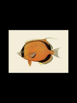 Søstrene Grene Schweiz Rahmen Und Poster<Poster A3