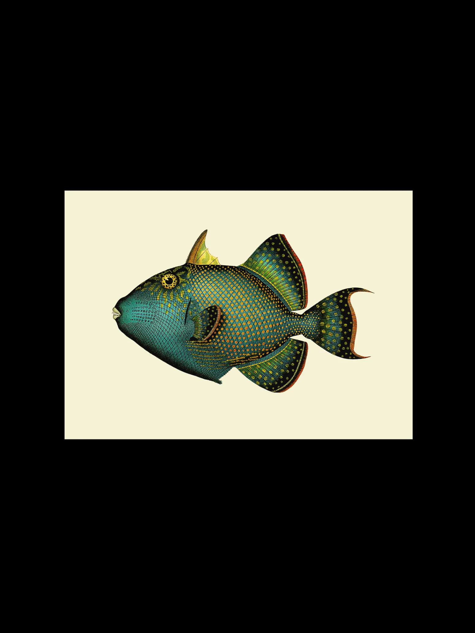 Søstrene Grene Schweiz Rahmen Und Poster<Poster A3