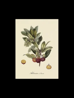 Søstrene Grene Schweiz Rahmen Und Poster<Poster A3