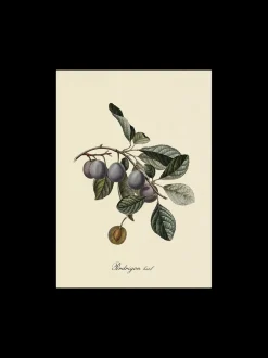 Søstrene Grene Schweiz Rahmen Und Poster<Poster A3