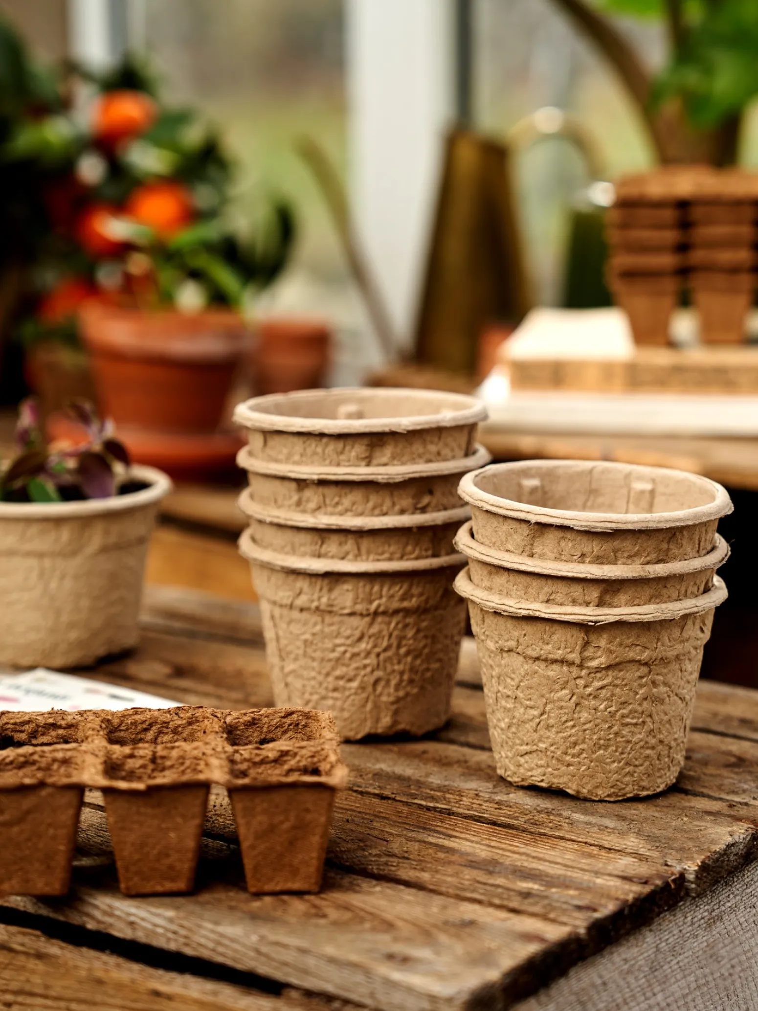 Søstrene Grene Schweiz Garten|Garten Und Balkon<SOGO Töpfe Und Anzuchtschale