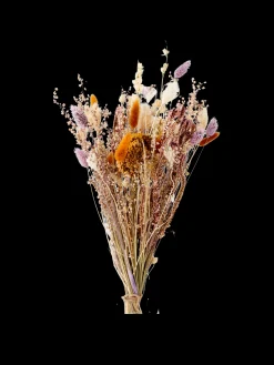 Søstrene Grene Schweiz Dekoration<Trockenblumen Flora Klein