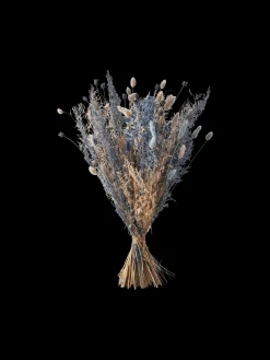 Søstrene Grene Schweiz Dekoration<Trockenblumen Silver Medium