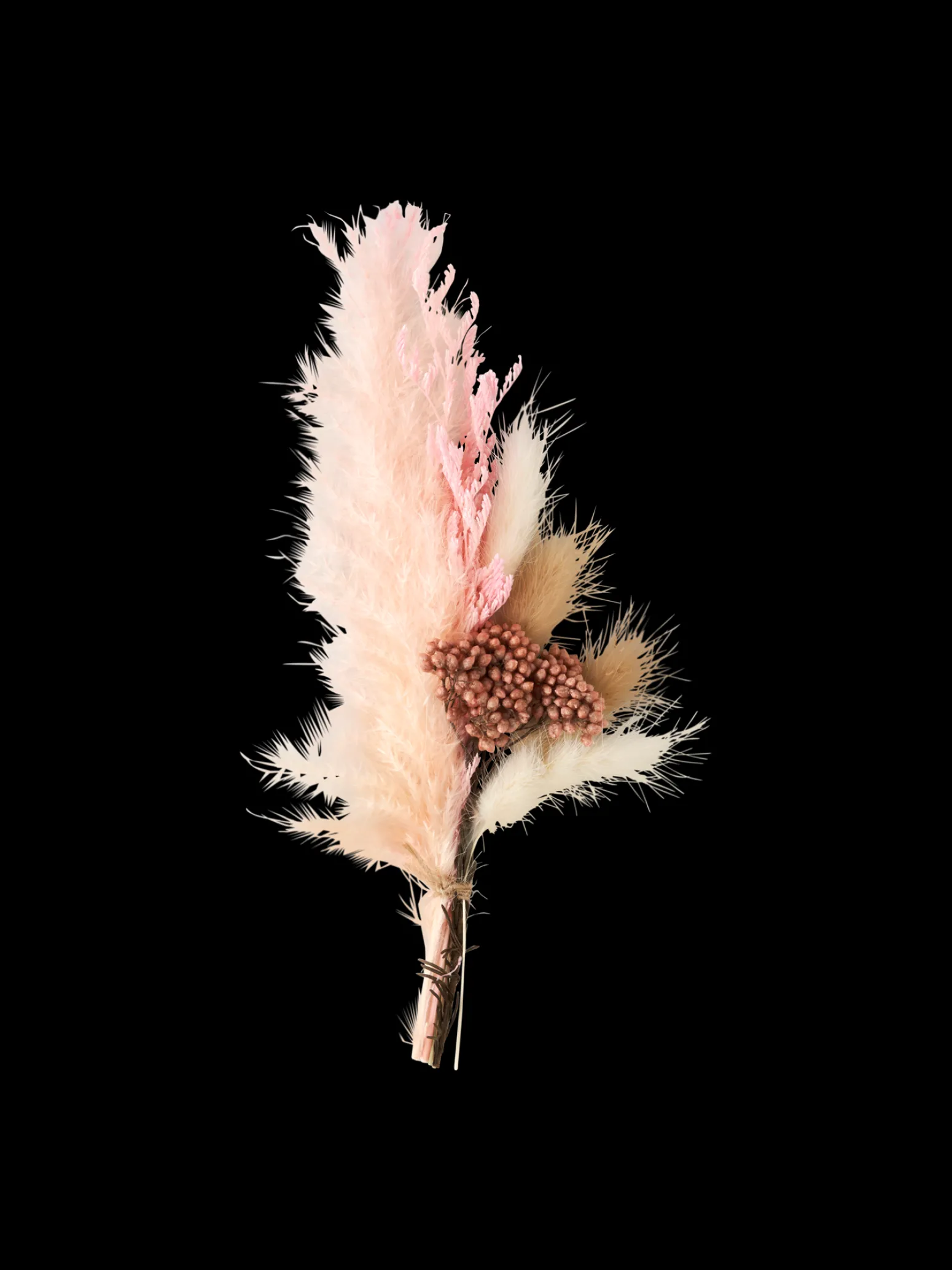 Søstrene Grene Schweiz Dekoration<Trockenblumen Zum Basteln